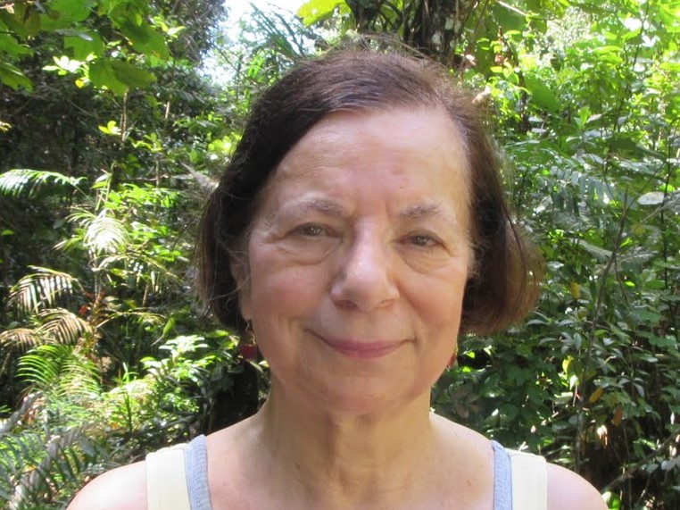 Susan Fainstein